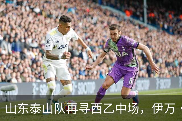 山东泰山队再寻西乙中场，伊万·莫兰特能否打破洛佩斯的魔咒？