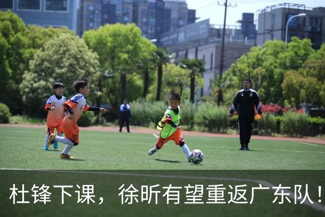 杜锋下课，徐昕有望重返广东队！